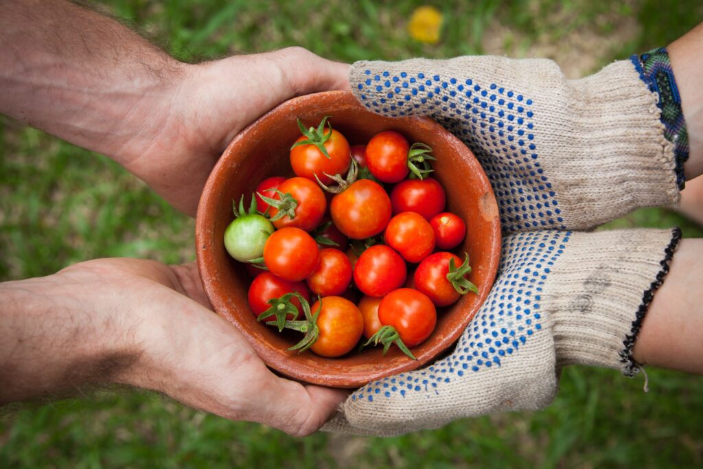 Exchanging basket of fresh tomatoes