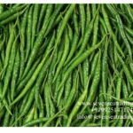 Fresh g4 green chilli