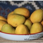 bowl of Fresh mangoes