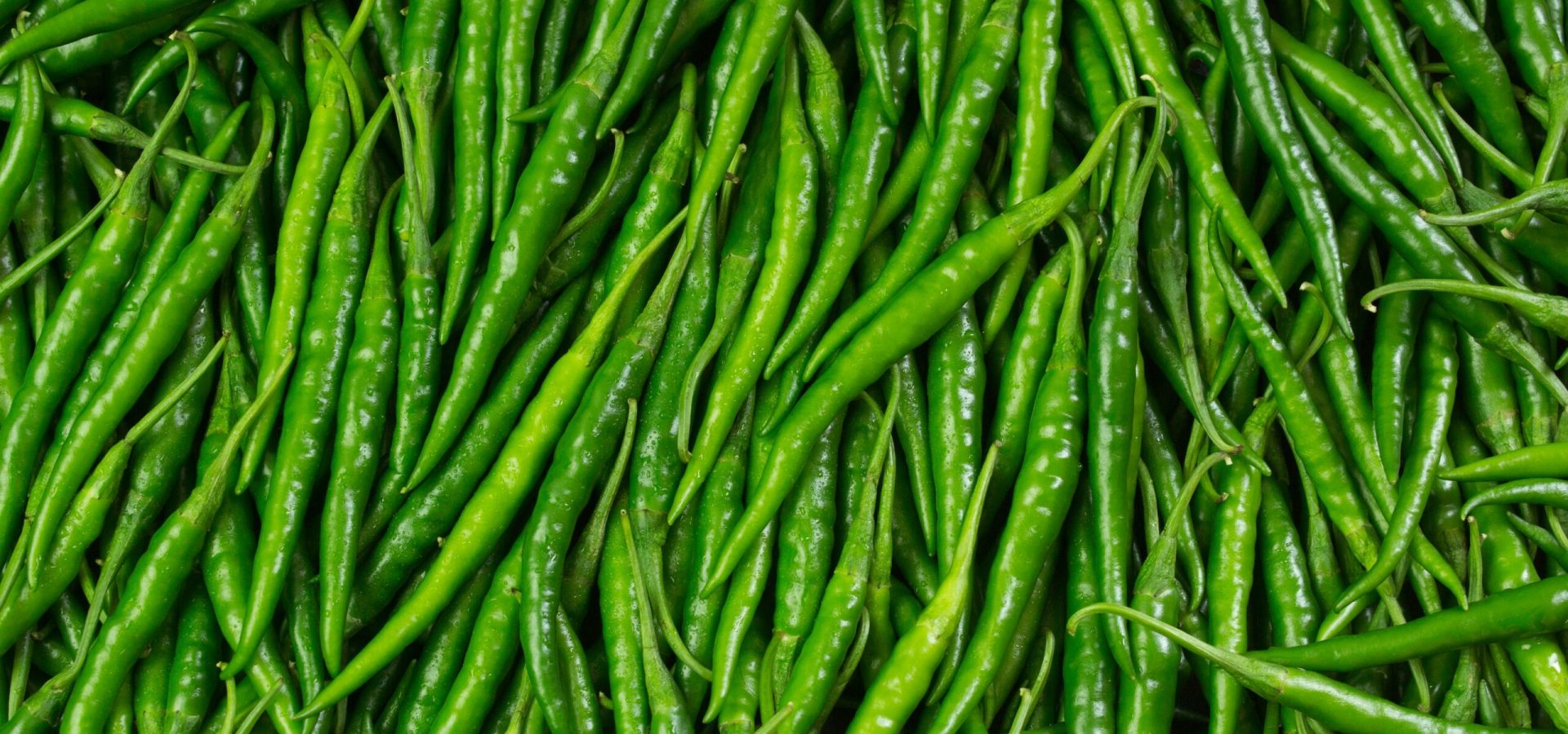 Fresh green chillis green chilli g4