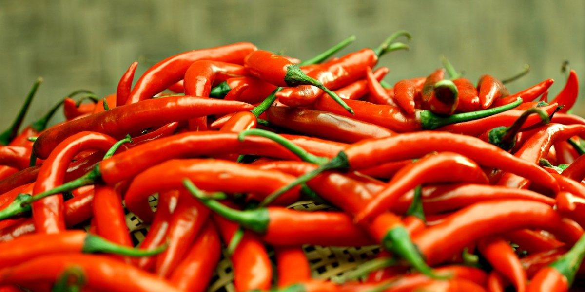 chilli pepper, spice, vegetables