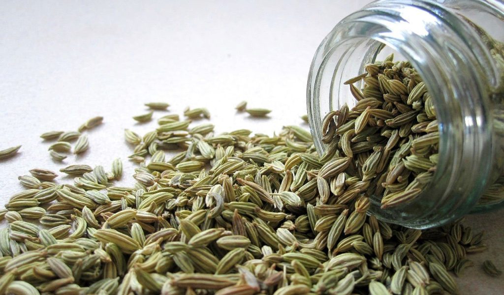 fennel, seeds, spice