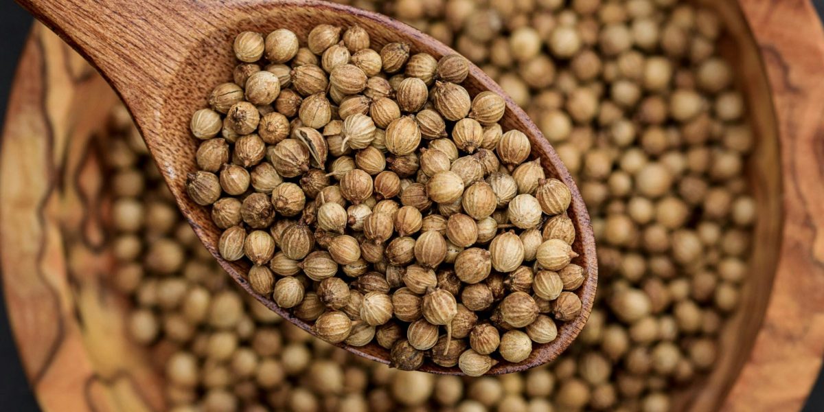 Coriander Seeds
